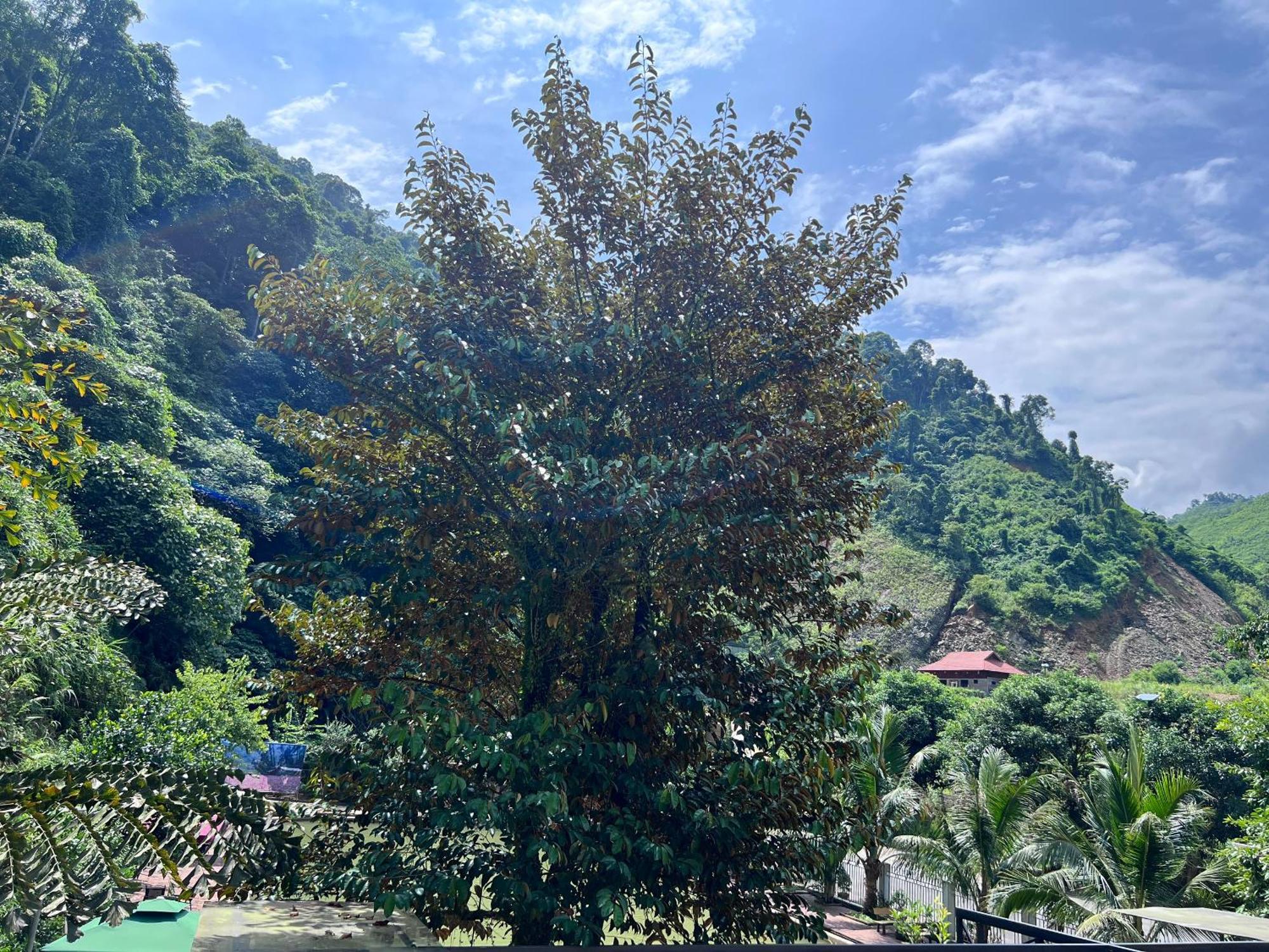 Wind'S House Ha Giang Bed & Breakfast Exterior photo
